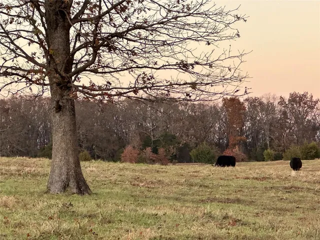 $200,000 | Undisclosed Address, Rosebud, MO 63091