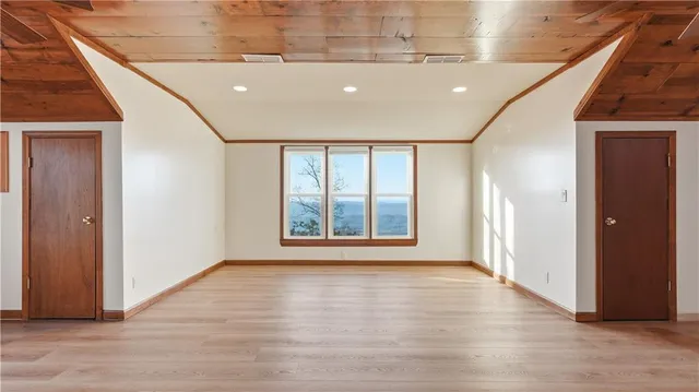 a view of a bunch of trees and bushes