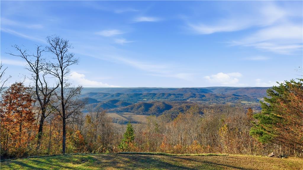 141 Brow Lake Road Lookout Mountain, GA 30750 - Photo 51 of 66 a view of a city