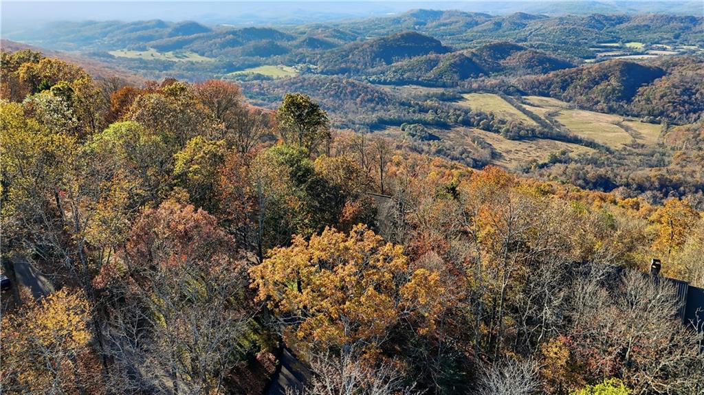 141 Brow Lake Road Lookout Mountain, GA 30750 - Photo 58 of 66