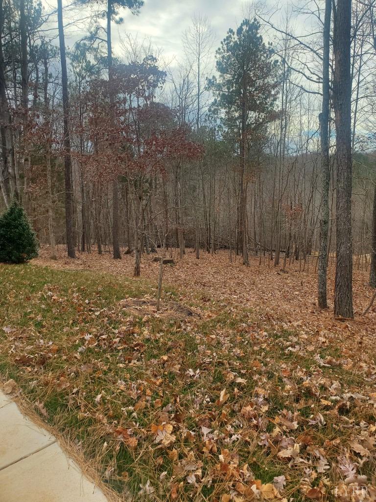 2934 Old Farm Road Lynchburg, VA 24503 - Photo 42 of 47 Gallery Image 42