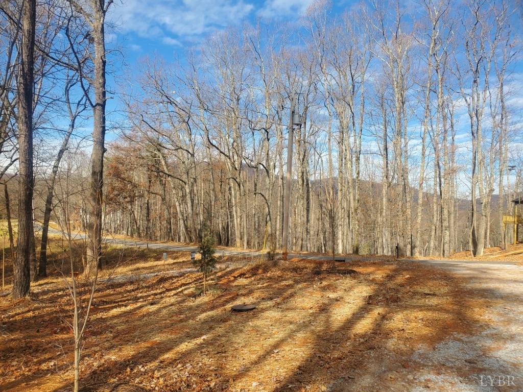 2934 Old Farm Road Lynchburg, VA 24503 - Photo 44 of 47 Gallery Image 44
