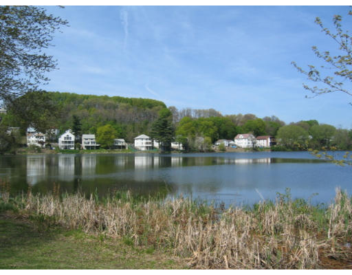 103 Lake Shore Road, Unit 1 Boston, MA 02135 - Photo 1 of 6 Gallery Image 1