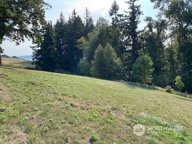 415-417 Confer Road Kalama, WA 98625 - Photo 8 of 33 Gallery Image 8