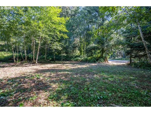 a view of outdoor space and yard