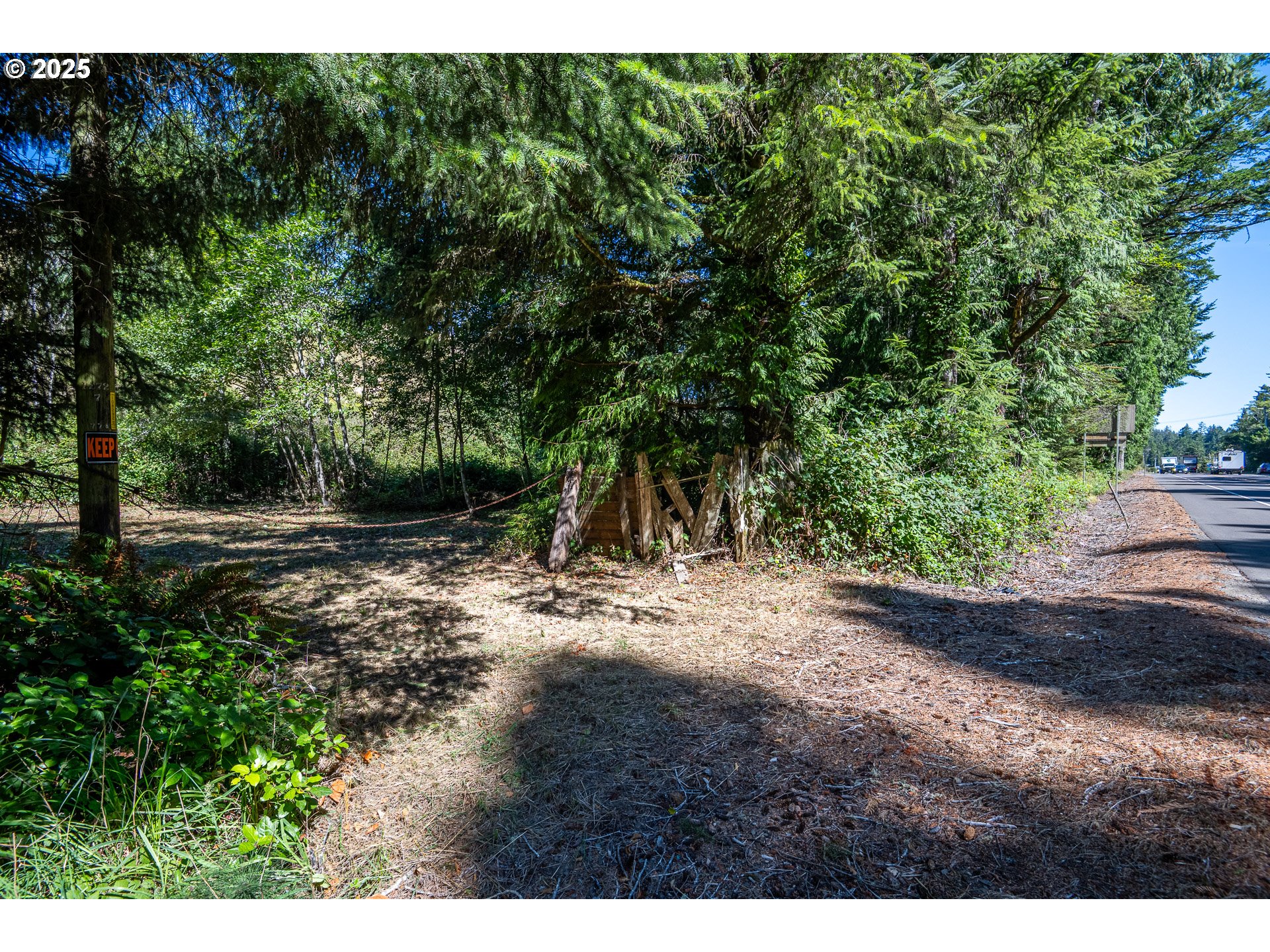 83394 Highway 101 Florence, OR 97439 - Photo 4 of 10 a view of a yard with plants and trees