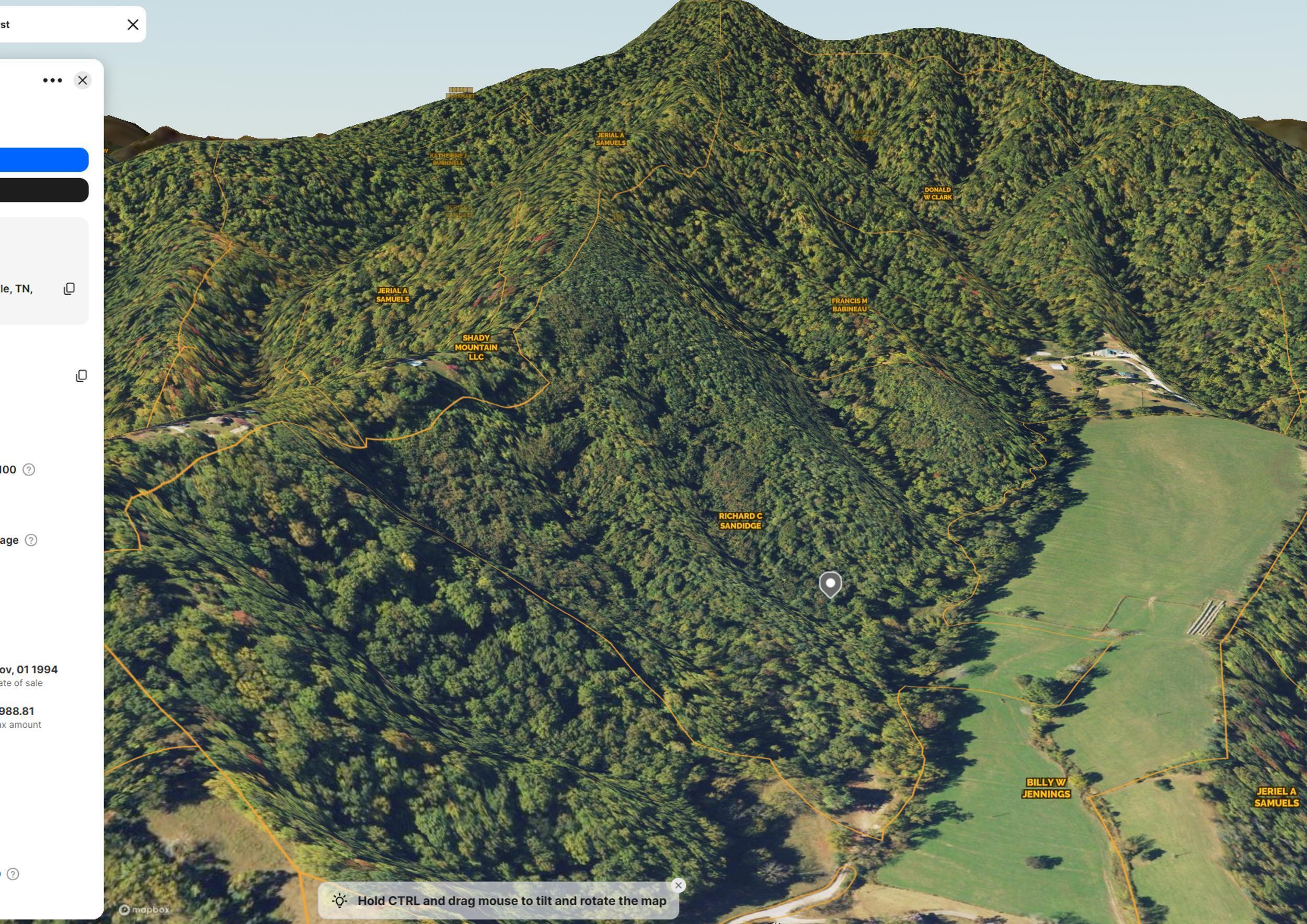 a close up of a plant in a garden