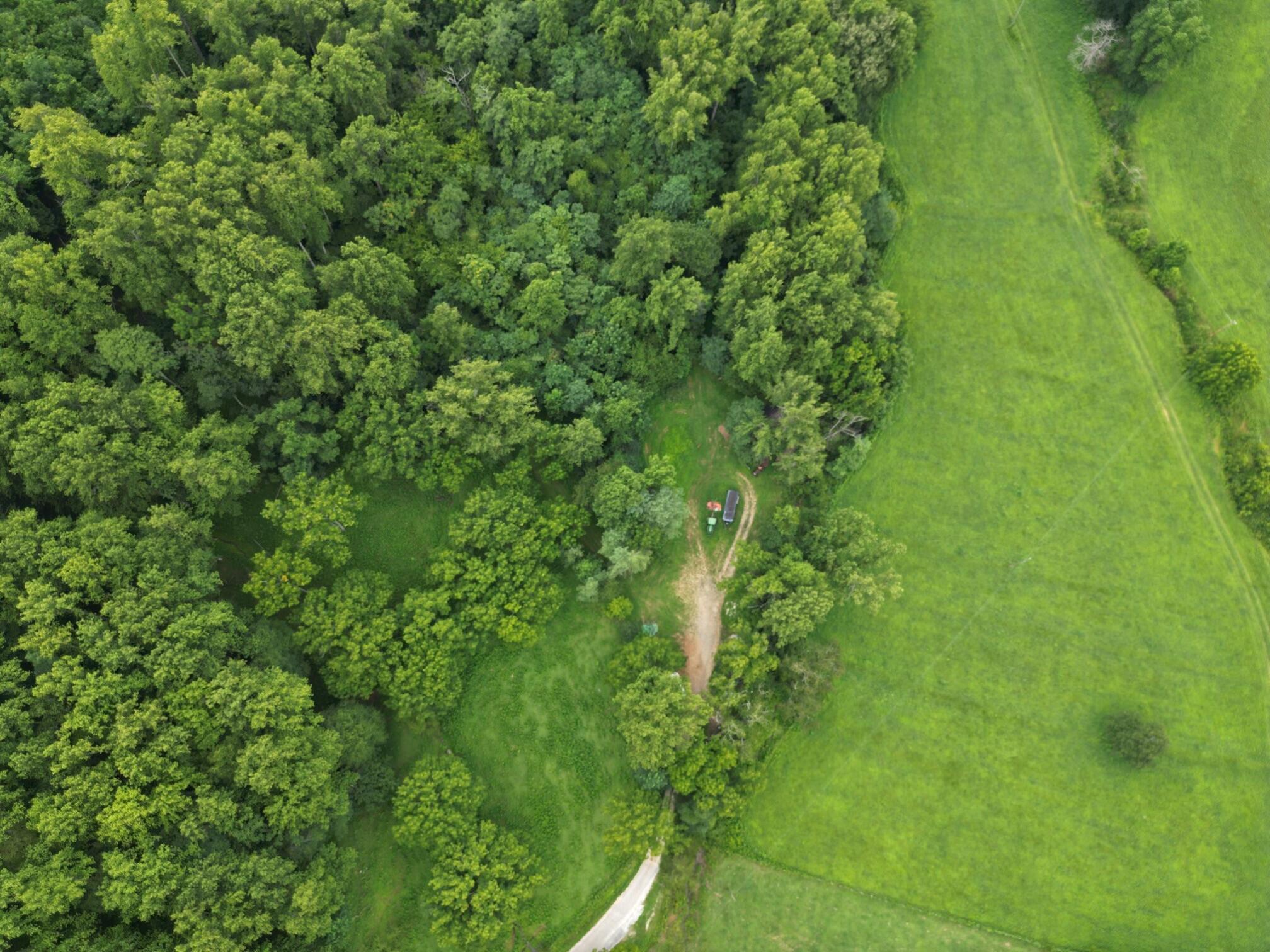 0 Lavender Lane Amherst, VA 24521 - Photo 13 of 49 a view of a lush green forest