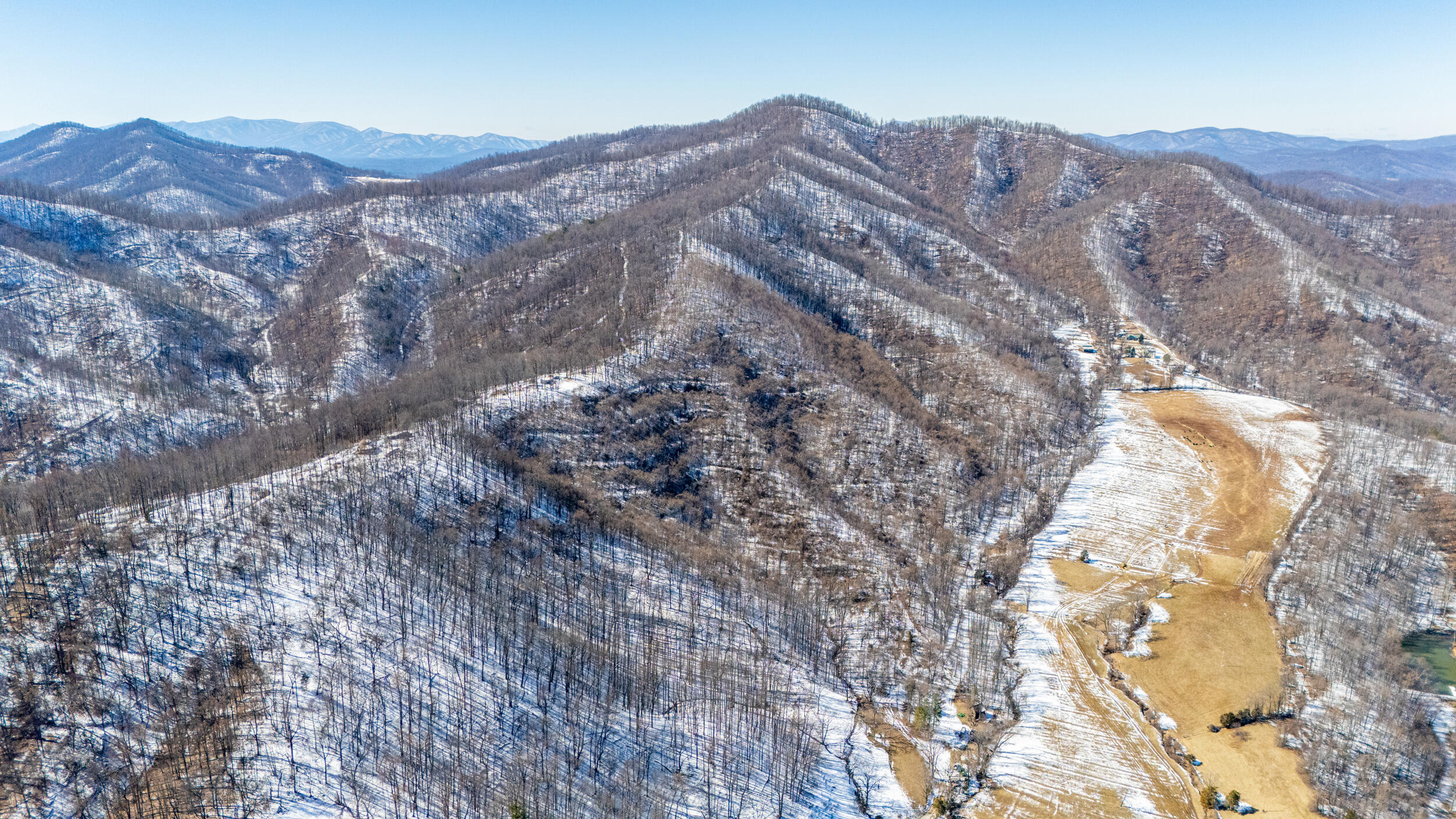 0 Lavender Lane Amherst, VA 24521 - Photo 16 of 49 a view of a large tree