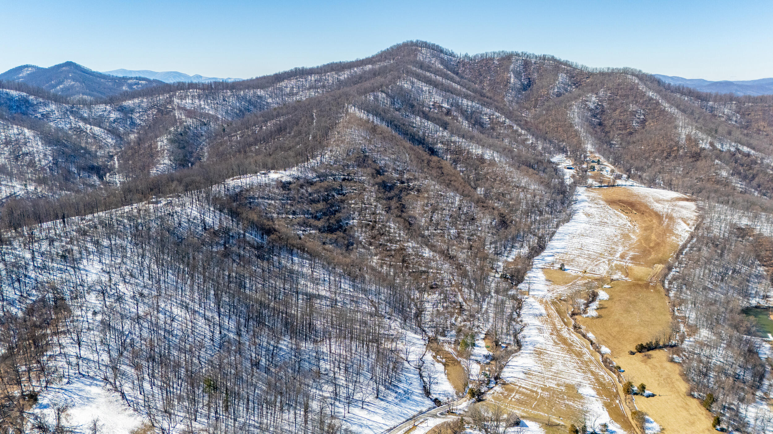 0 Lavender Lane Amherst, VA 24521 - Photo 17 of 49 a view of a large tree