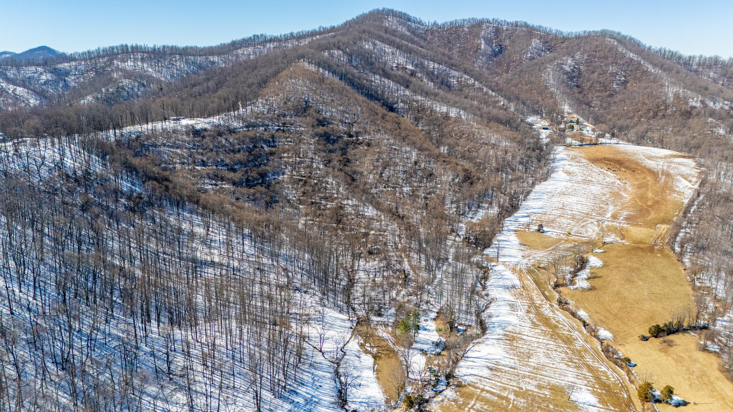 0 Lavender Lane Amherst, VA 24521 - Photo 19 of 49 a view of mountain and tree