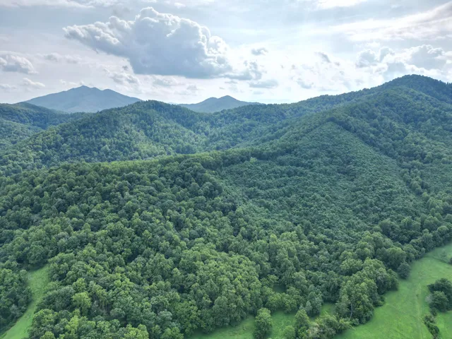 a view of a mountain in the distance in a field
