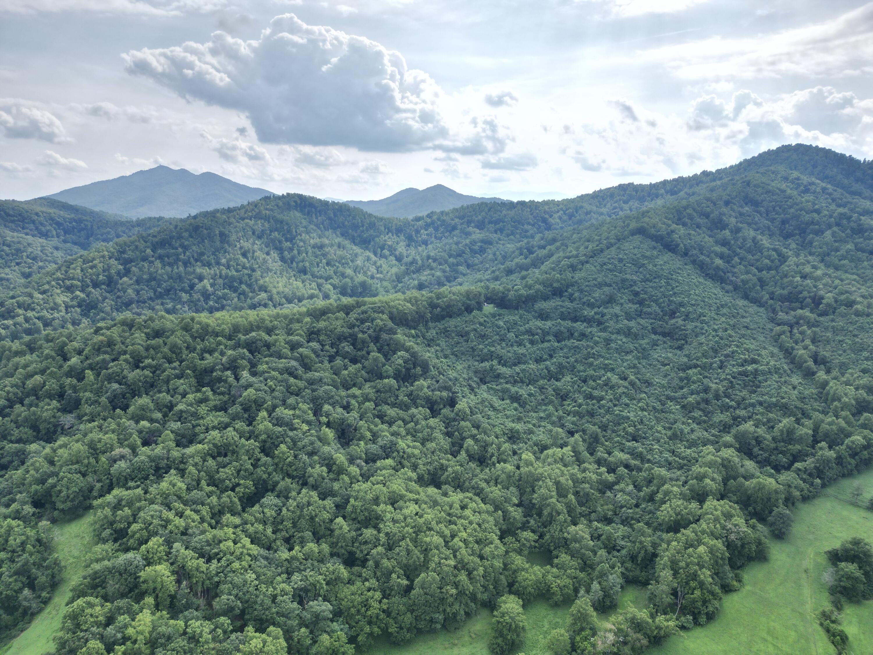 0 Lavender Lane Amherst, VA 24521 - Photo 2 of 49 a view of a mountain in the distance in a field
