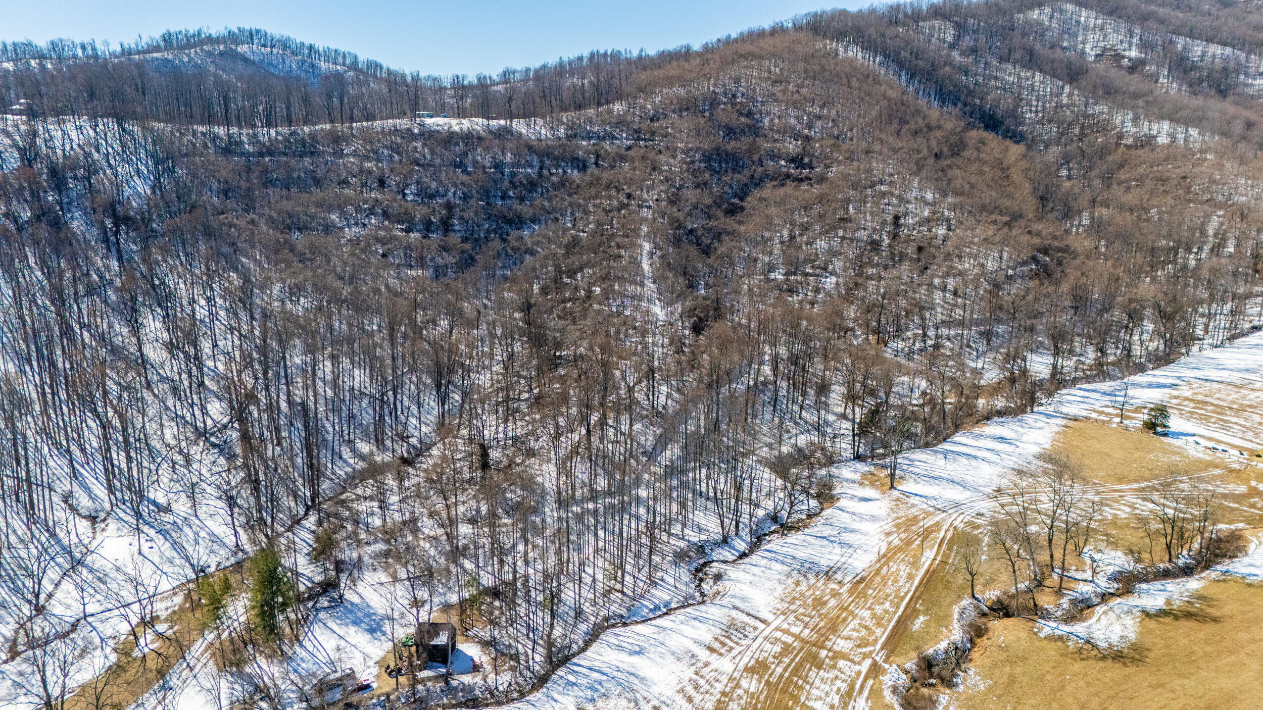 0 Lavender Lane Amherst, VA 24521 - Photo 21 of 49 a view of a yard