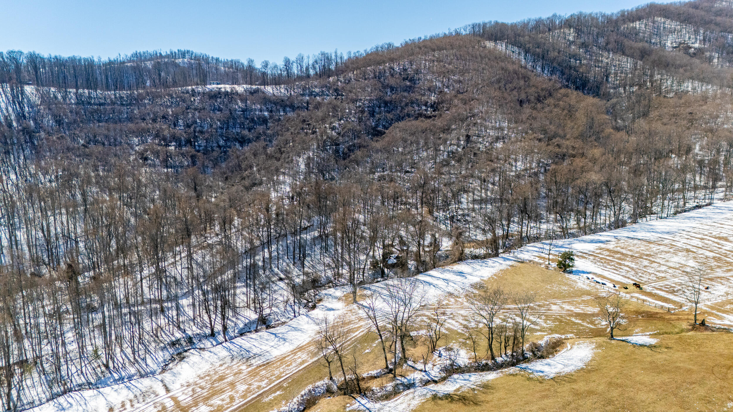 0 Lavender Lane Amherst, VA 24521 - Photo 23 of 49 a view of a backyard of the house