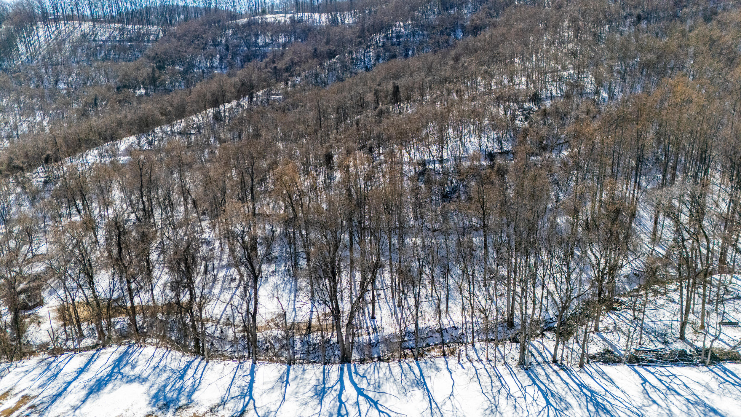 0 Lavender Lane Amherst, VA 24521 - Photo 27 of 49 a view of forest