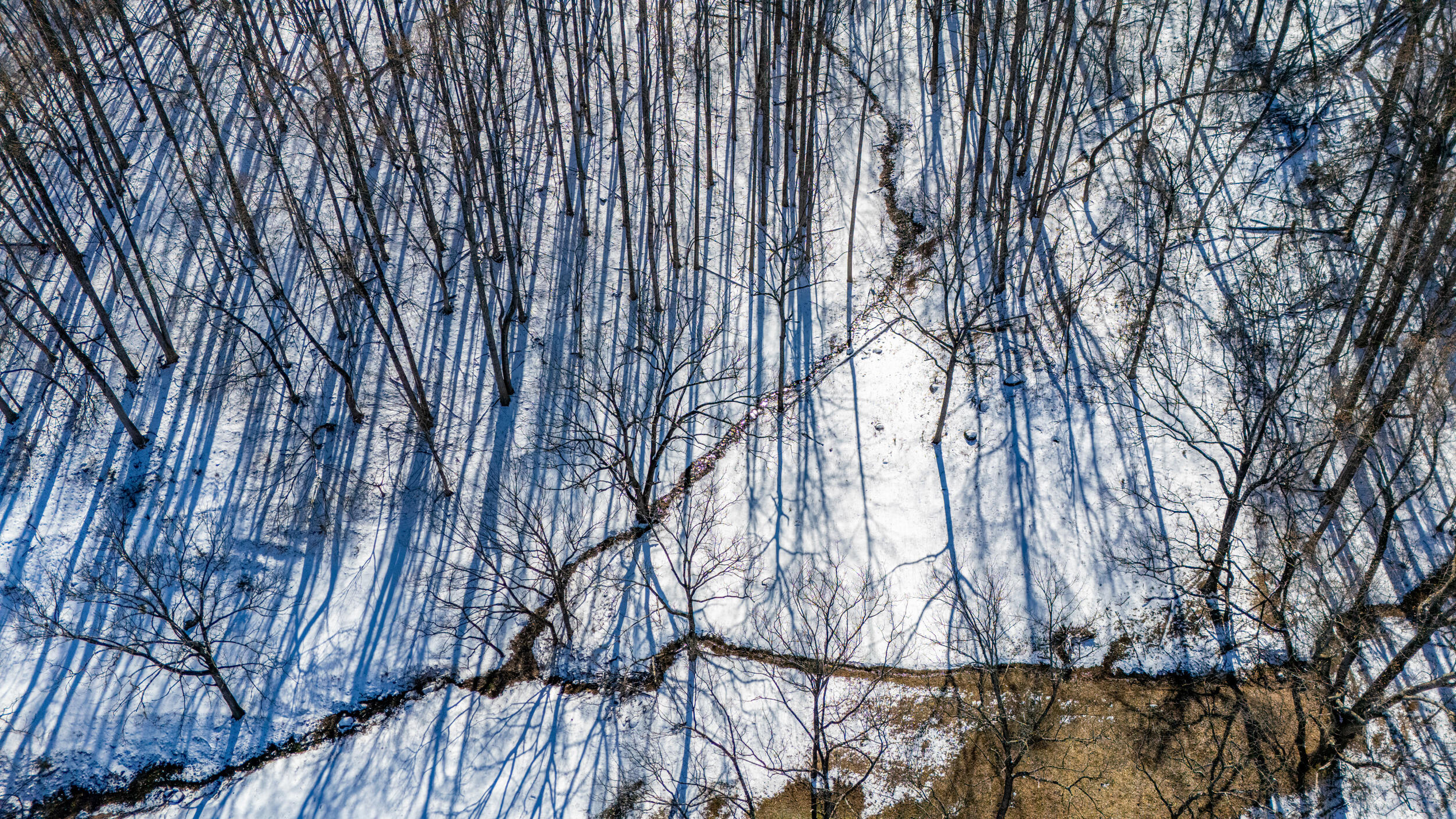 0 Lavender Lane Amherst, VA 24521 - Photo 30 of 49 a view of outdoor space with garden view