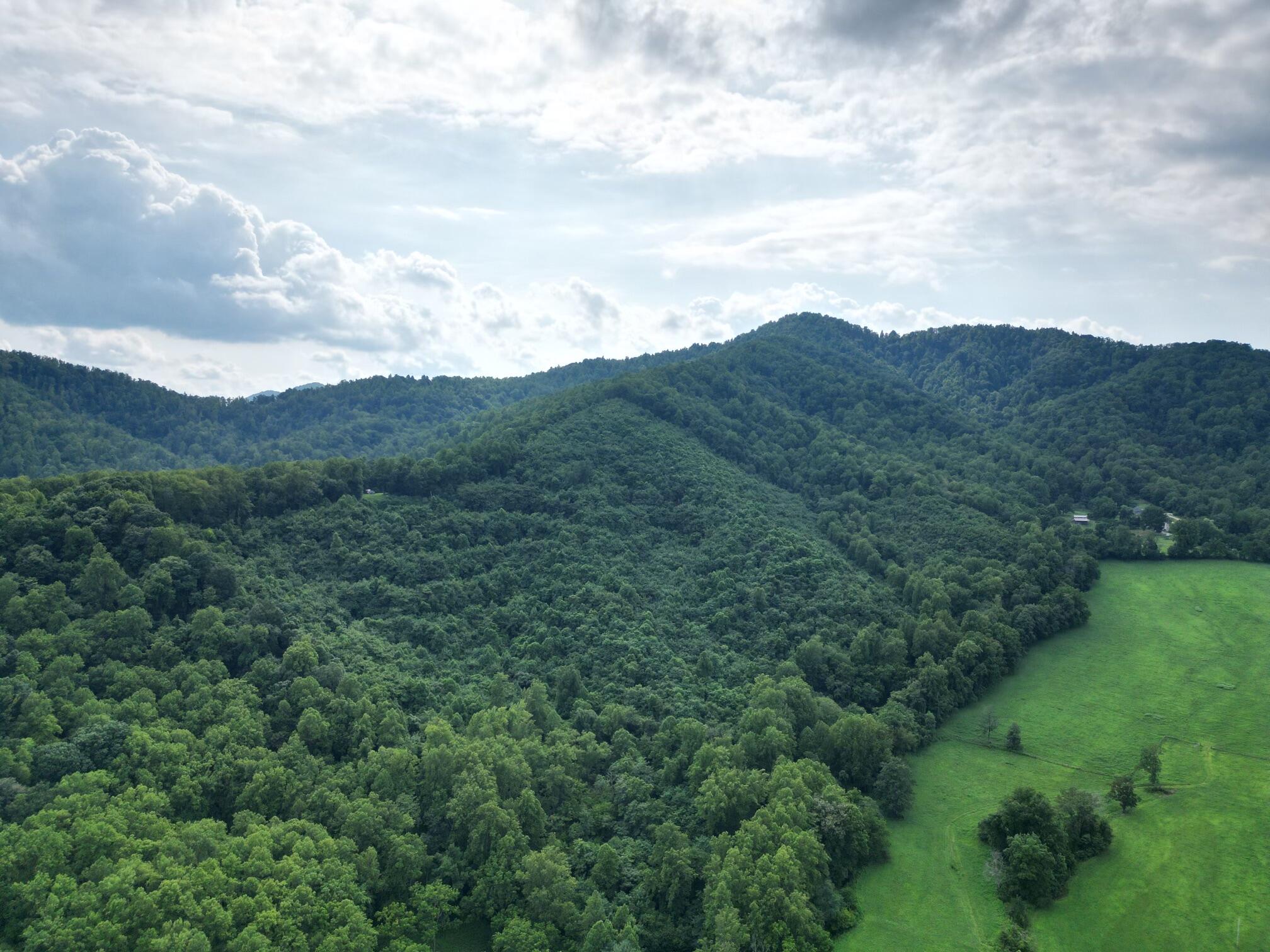0 Lavender Lane Amherst, VA 24521 - Photo 3 of 49 a view of a mountain range with lush green forest