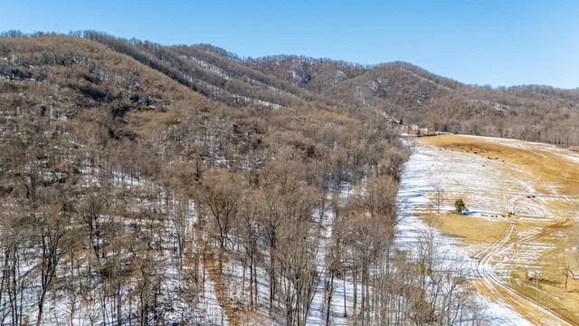 a view of mountain and tree