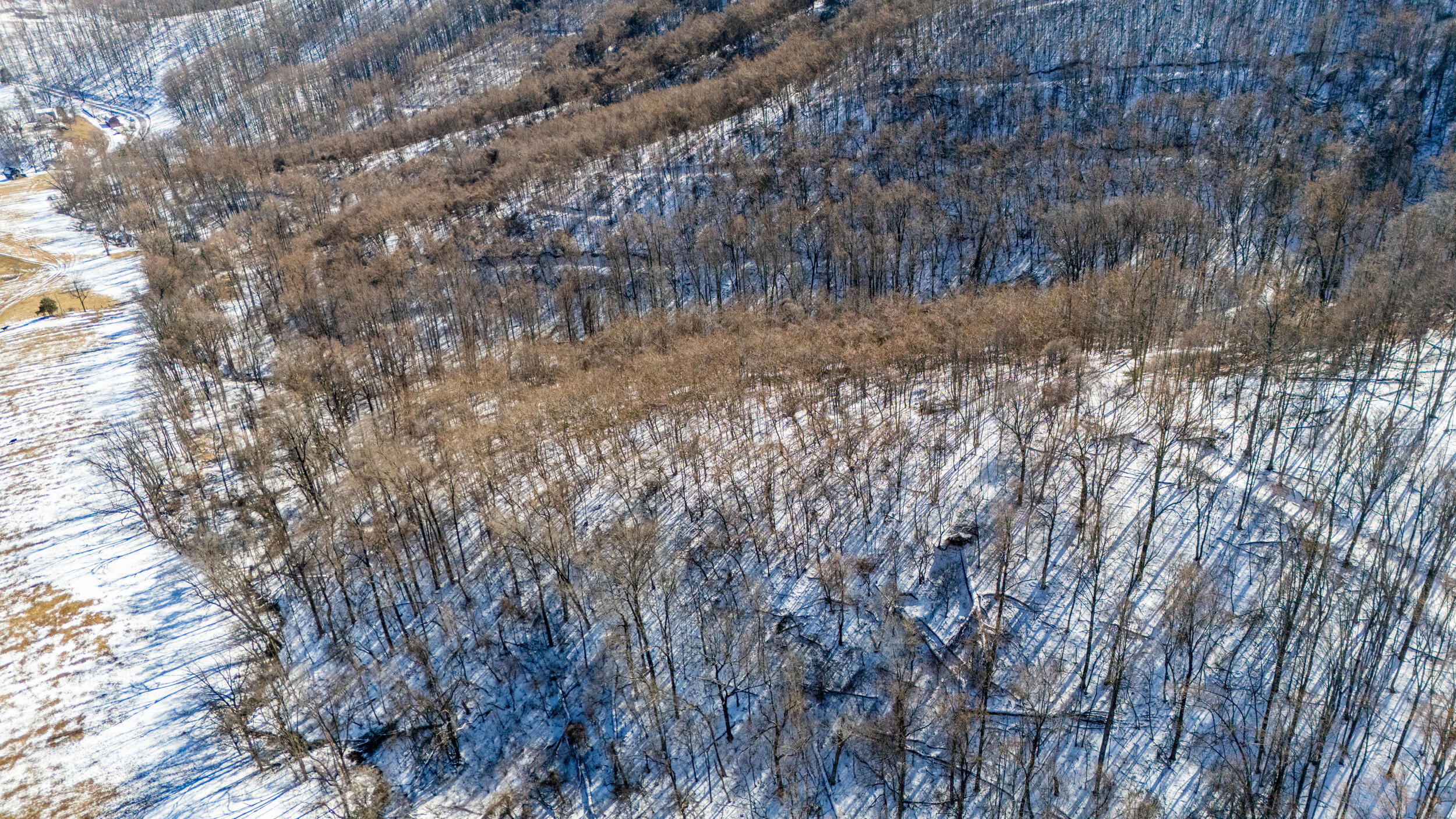 0 Lavender Lane Amherst, VA 24521 - Photo 34 of 49 a view of a dry yard with trees