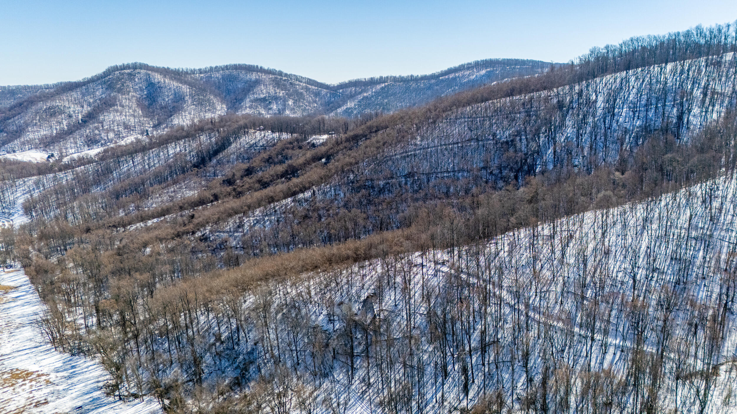 0 Lavender Lane Amherst, VA 24521 - Photo 36 of 49 a view of mountain and tree