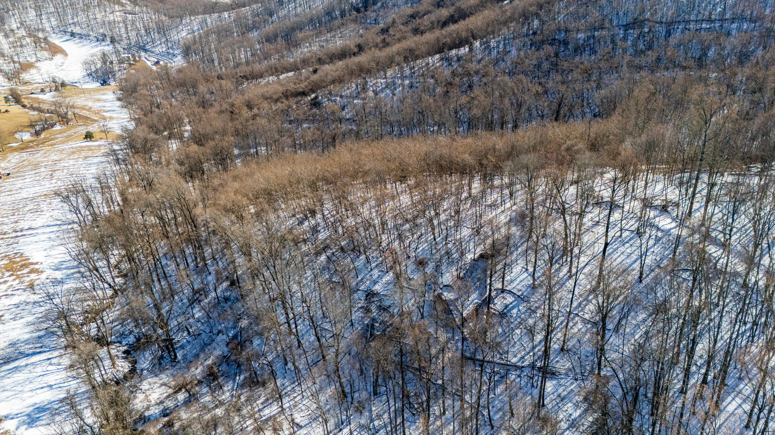 0 Lavender Lane Amherst, VA 24521 - Photo 38 of 49 a view of a dry yard with trees and wooden fence