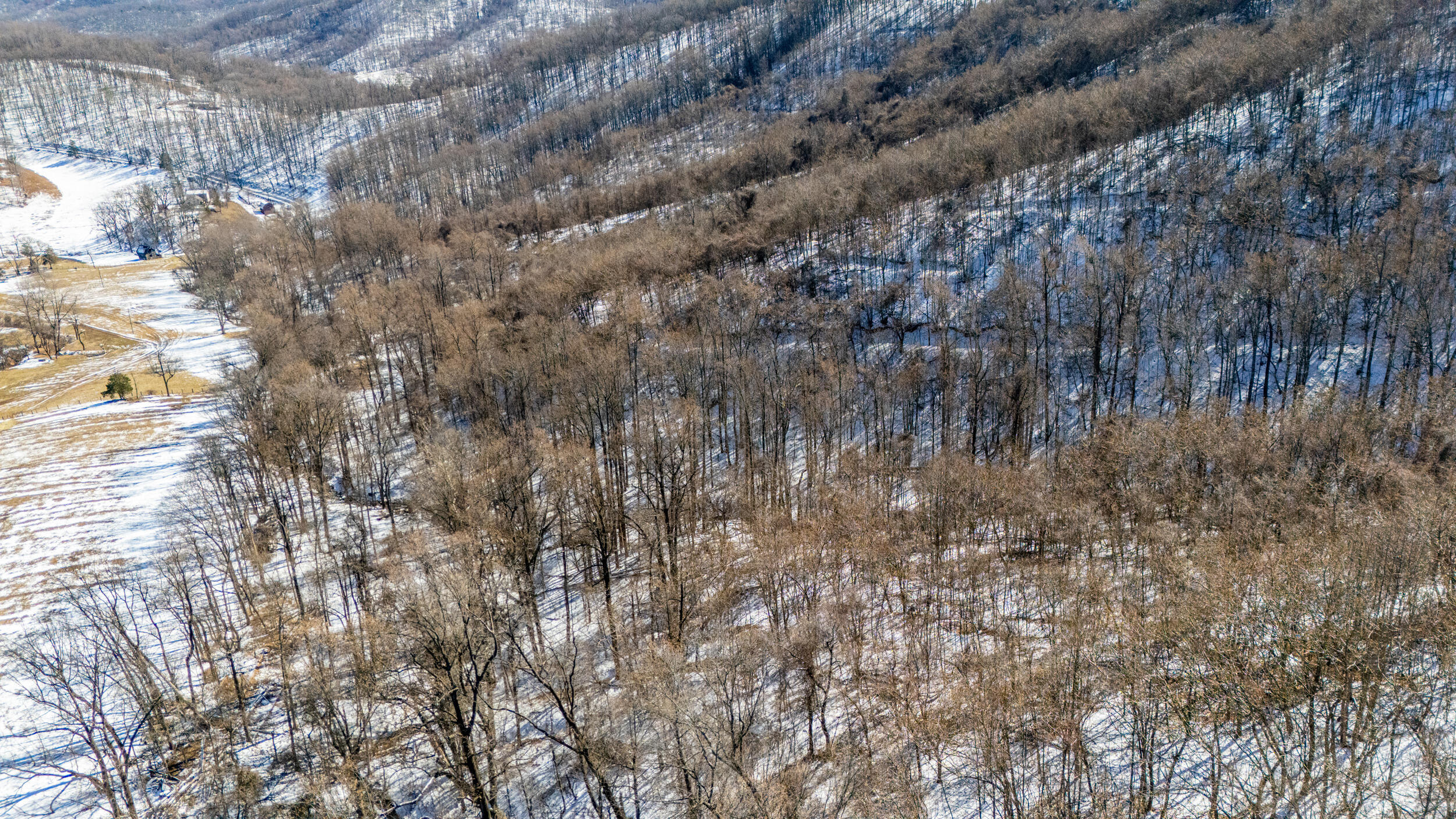 0 Lavender Lane Amherst, VA 24521 - Photo 40 of 49 a view of a dry yard