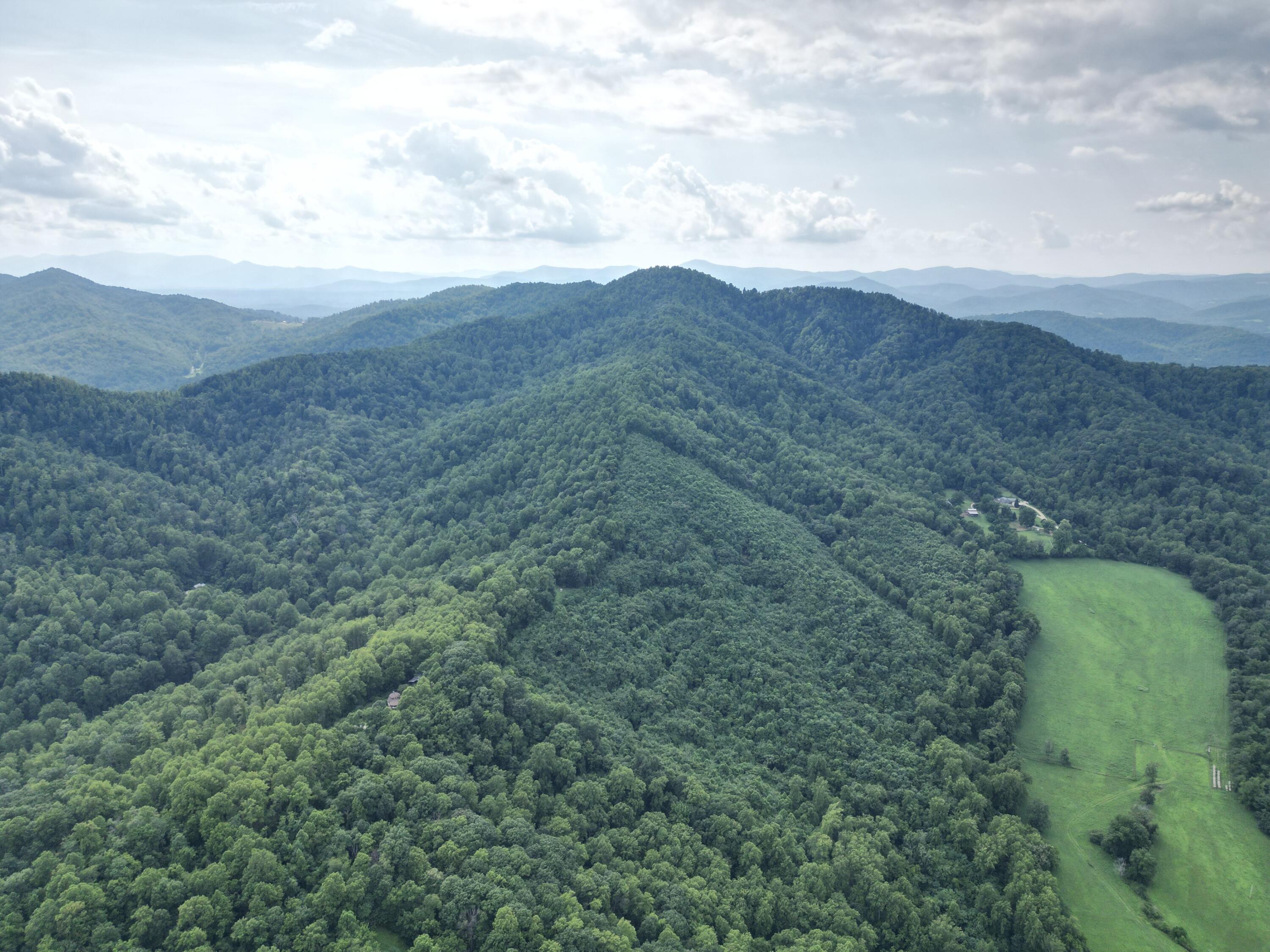 0 Lavender Lane Amherst, VA 24521 - Photo 4 of 49 a view of a green field with lots of bushes