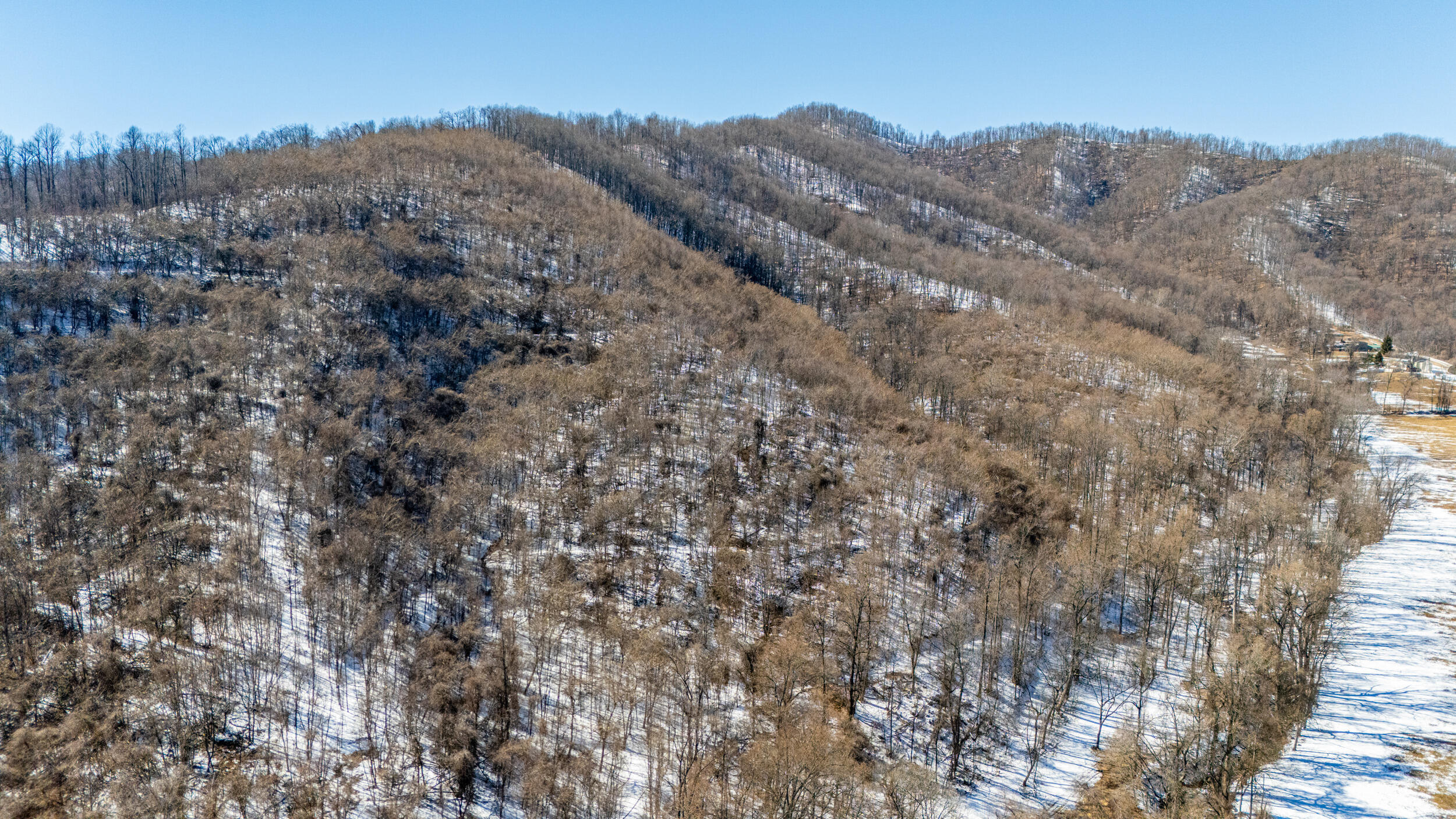0 Lavender Lane Amherst, VA 24521 - Photo 42 of 49 a view of a dry field