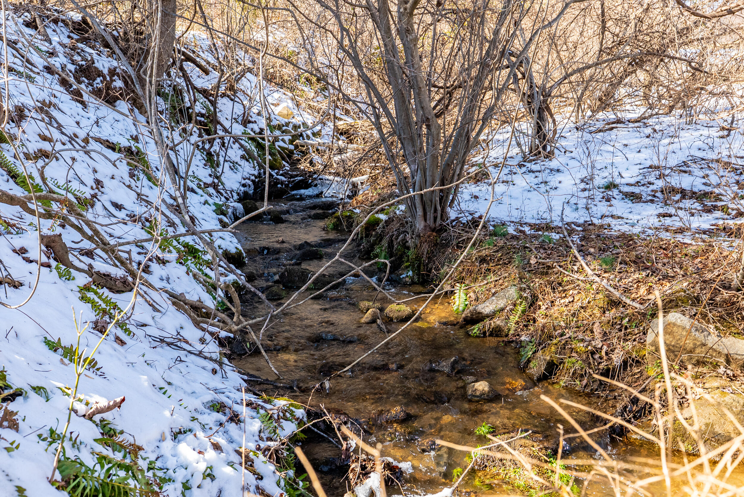 0 Lavender Lane Amherst, VA 24521 - Photo 47 of 49 a backyard of a house