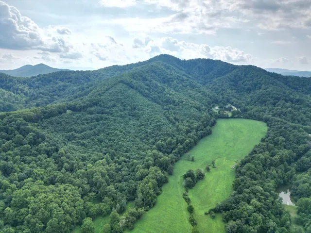 a view of a lush green hillside and mountains