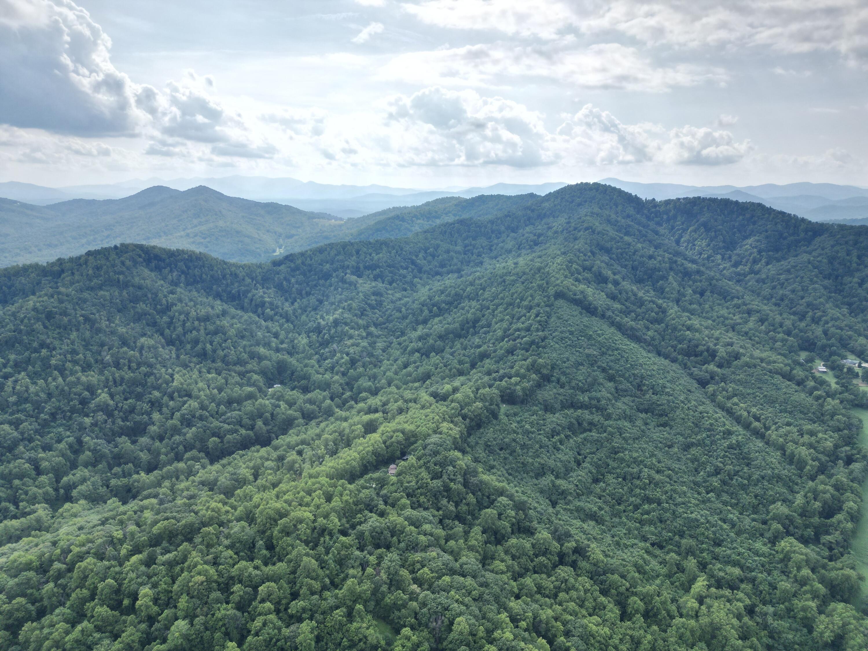 0 Lavender Lane Amherst, VA 24521 - Photo 7 of 49 a view of a big yard with lots of trees