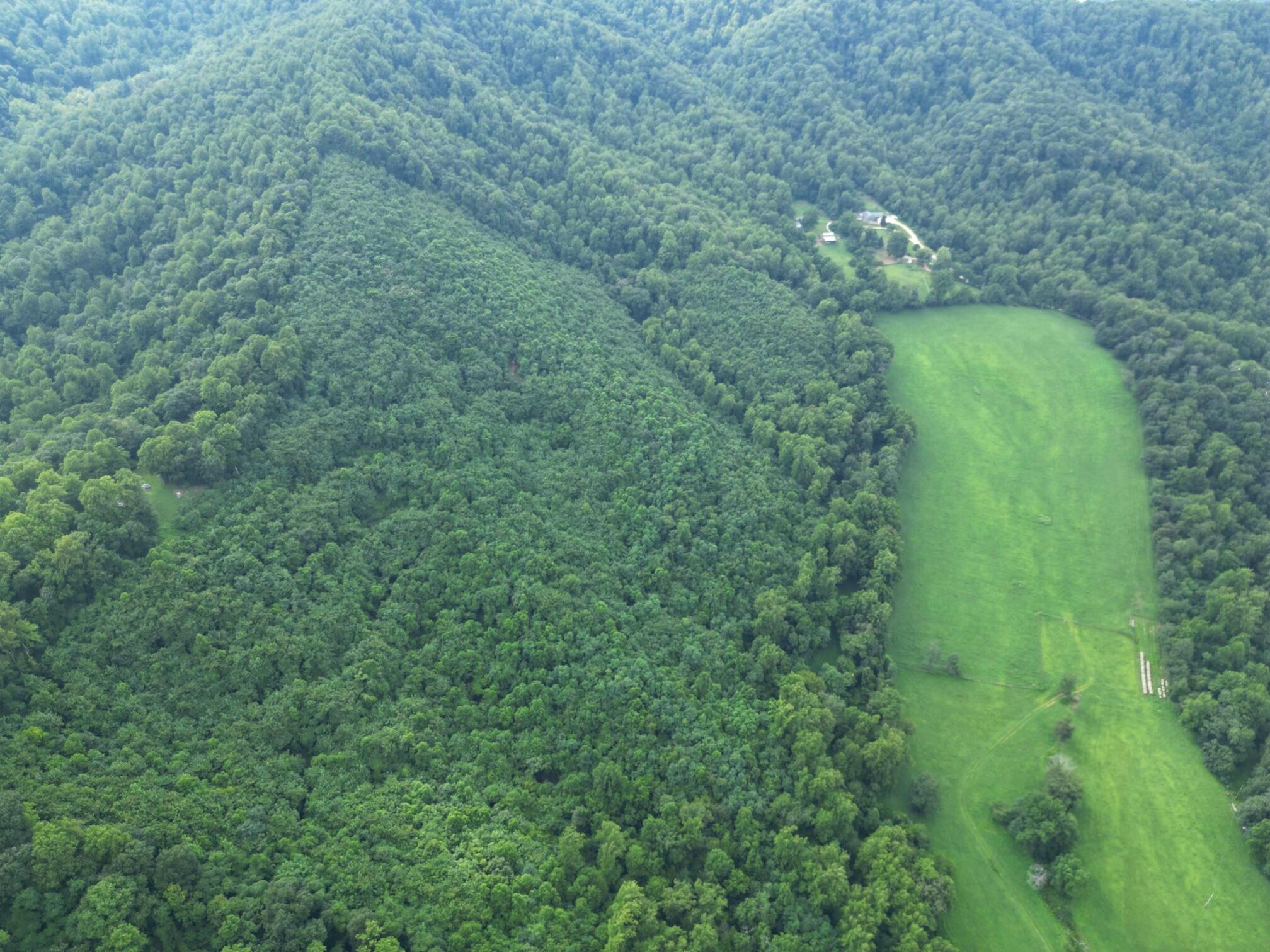 0 Lavender Lane Amherst, VA 24521 - Photo 9 of 49 a view of a big yard with large trees