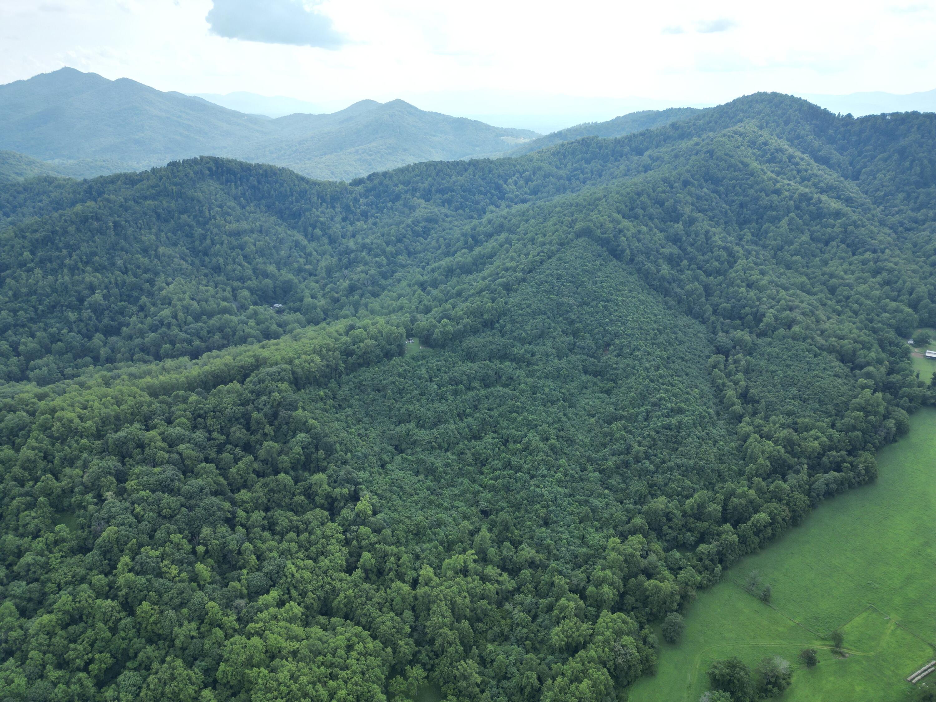 0 Lavender Lane Amherst, VA 24521 - Photo 10 of 49 a view of a mountain range with lush green forest