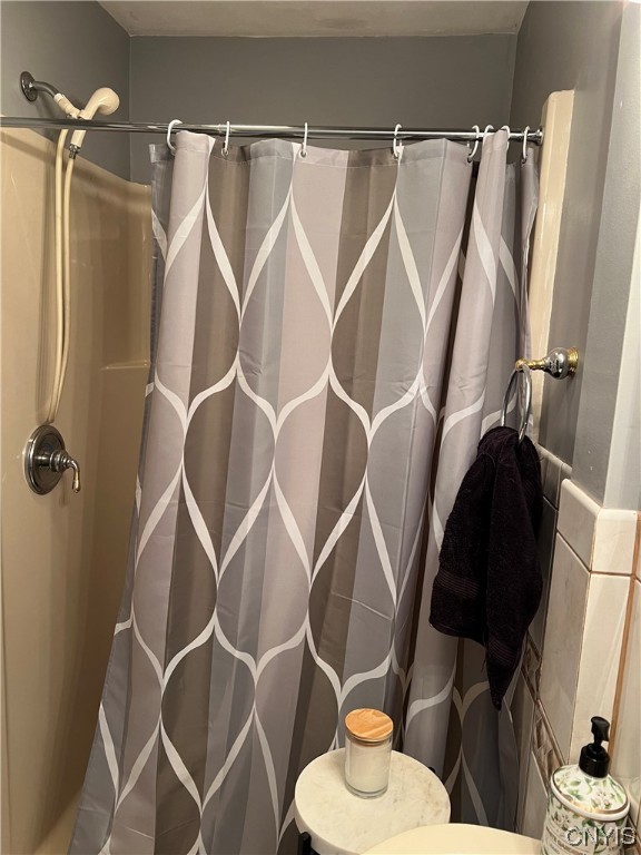 100 Hampton Road Syracuse, NY 13203 - Photo 17 of 46 tub/shower handicap access first floor