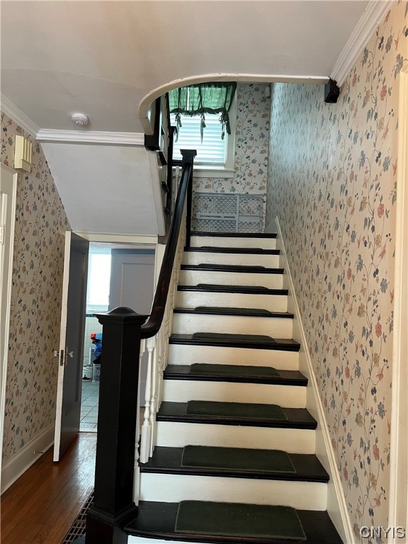 100 Hampton Road Syracuse, NY 13203 - Photo 8 of 46 looking up the gorgeous stairs