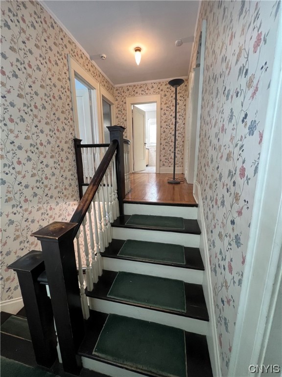 100 Hampton Road Syracuse, NY 13203 - Photo 9 of 46 staircase turn near the top