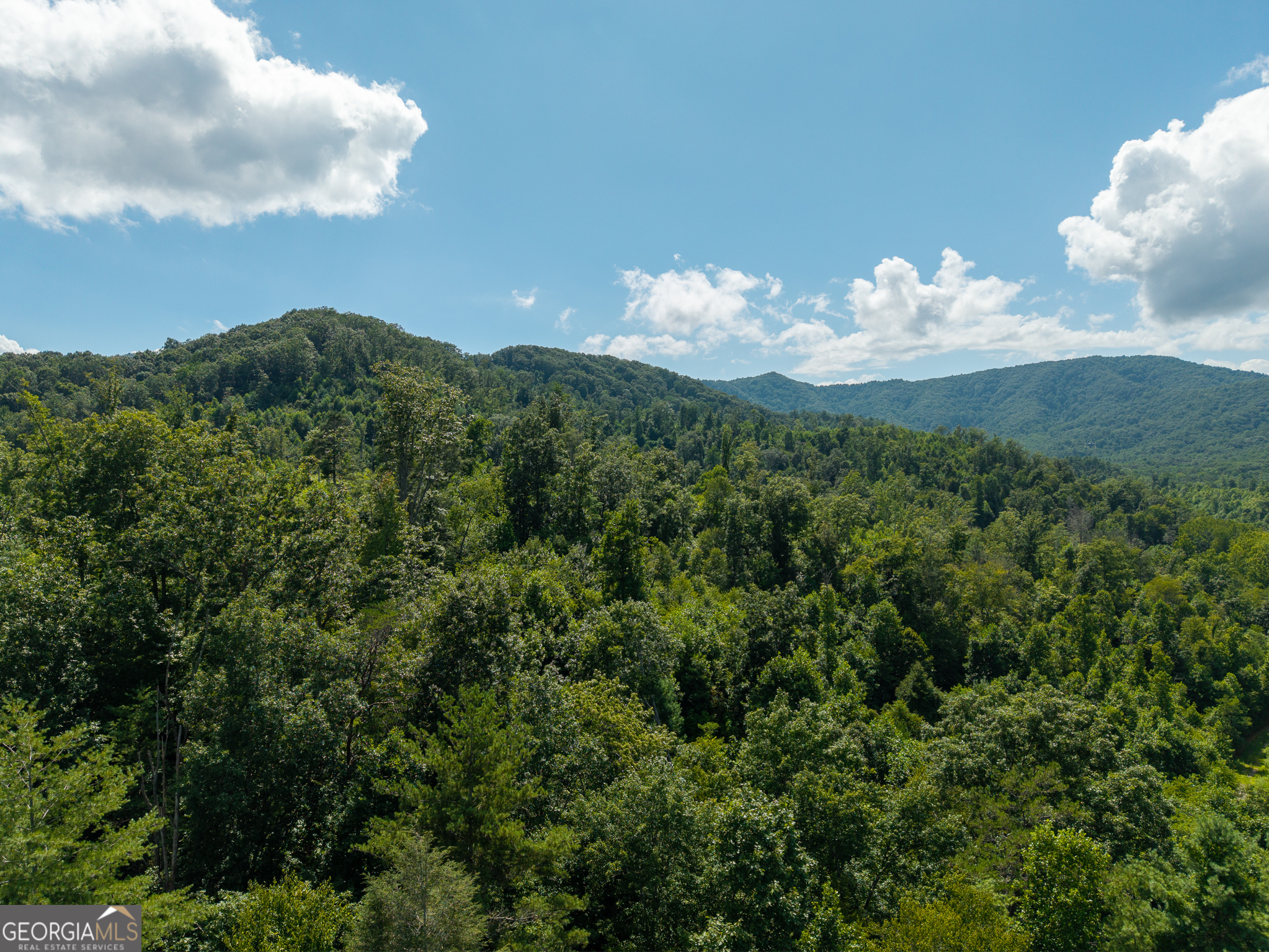 0 Higdon Creek Road Blue Ridge, GA 30513 - Photo 36 of 48 Gallery Image 36