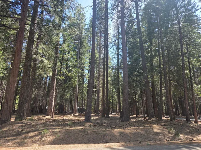 $22,500 | Lot # Colossians Way, Shingletown, CA 96088
