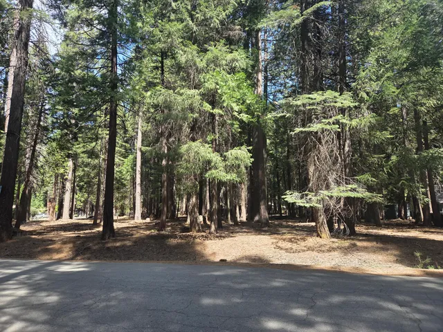 $22,500 | Lot # Colossians Way, Shingletown, CA 96088