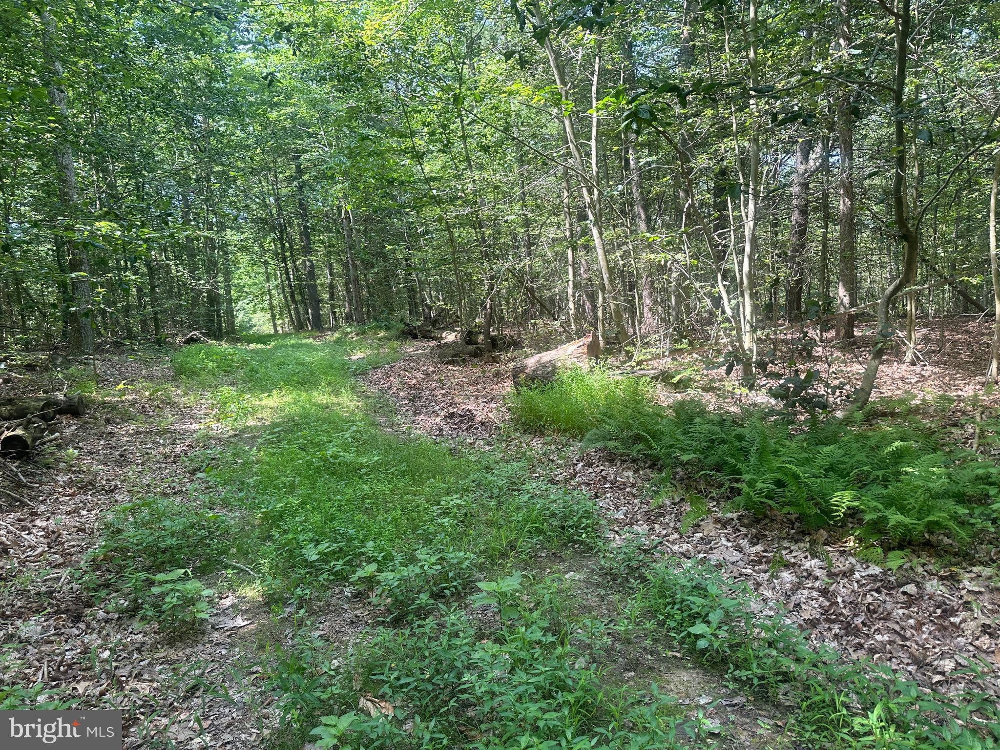 14110 Indian Springs Road Big Pool, MD 21711 - Photo 24 of 30