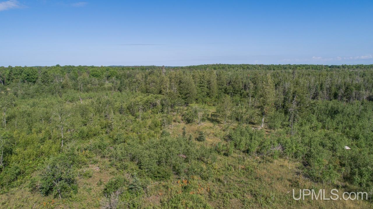 Tbd 80-acres 30th Road Rapid River, MI 49878 - Photo 16 of 17