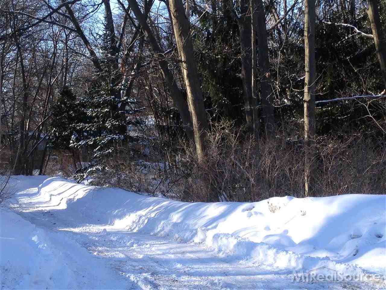 79470 Coon Creek Road Armada, MI 48005 - Photo 7 of 10 31184530-6.JPG