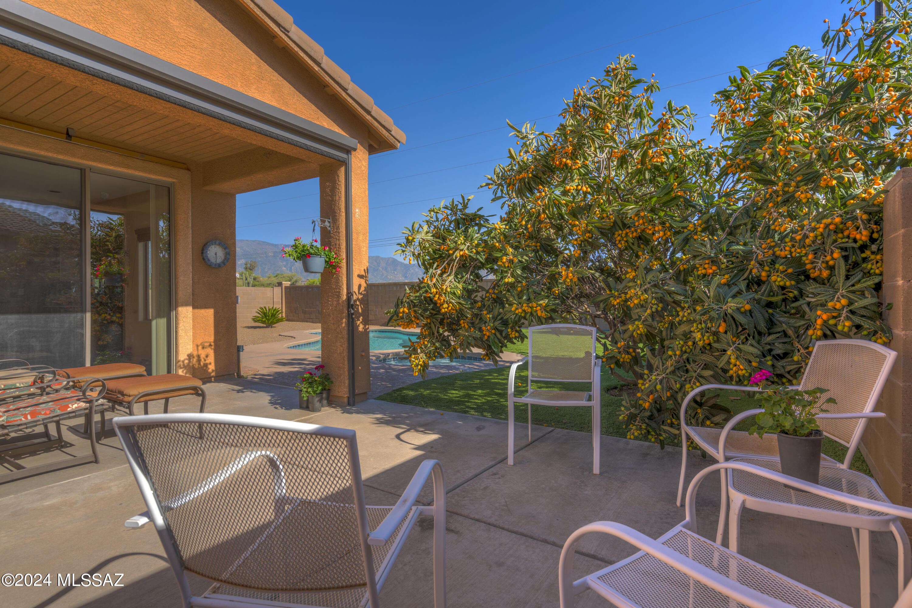 40148 Ridgeline Court Tucson, AZ 85739 - Photo 44 of 50