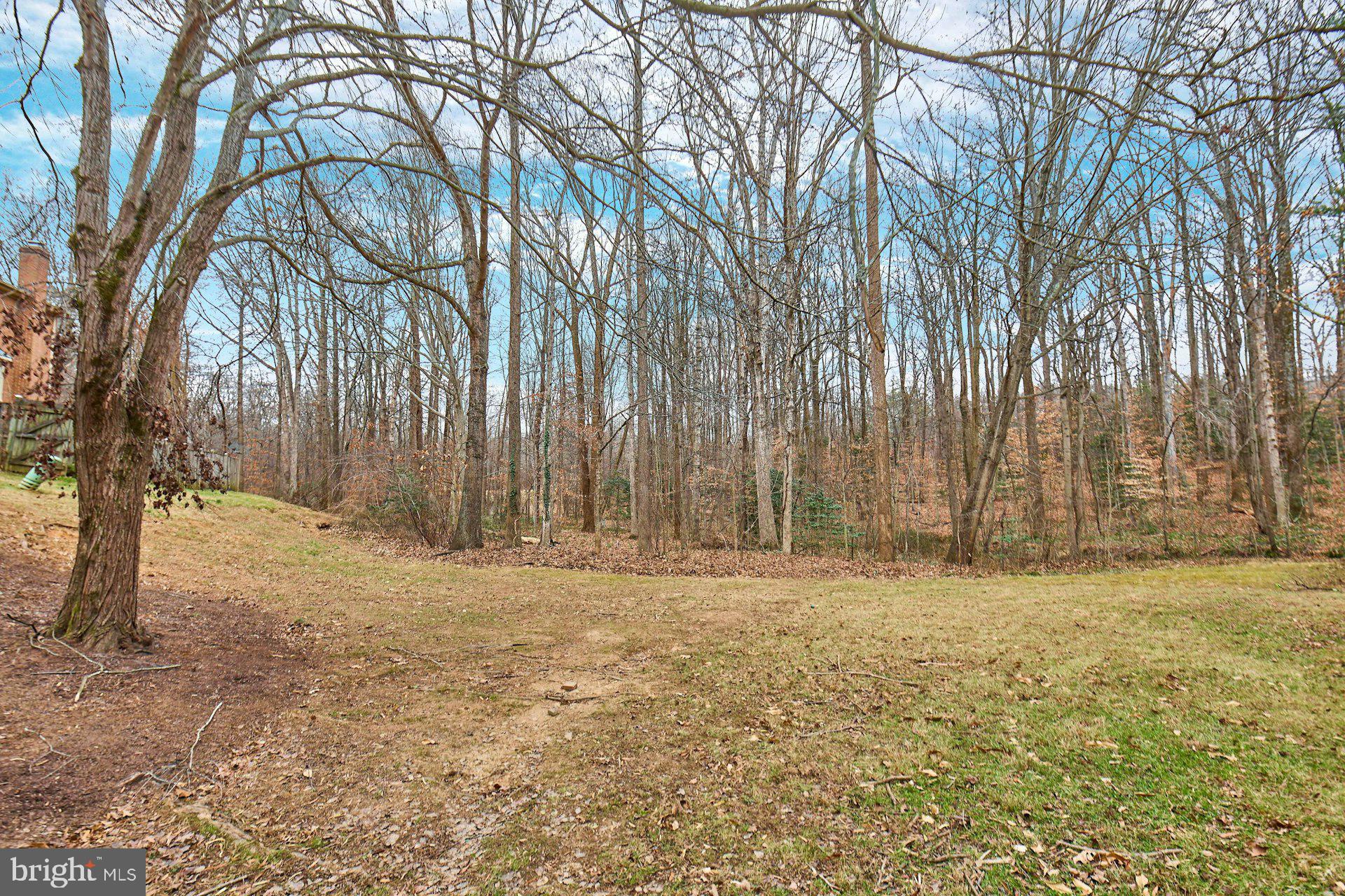 9007 O'Keith Court Springfield, VA 22152 - Photo 35 of 39 a backyard of a house with lots of green space