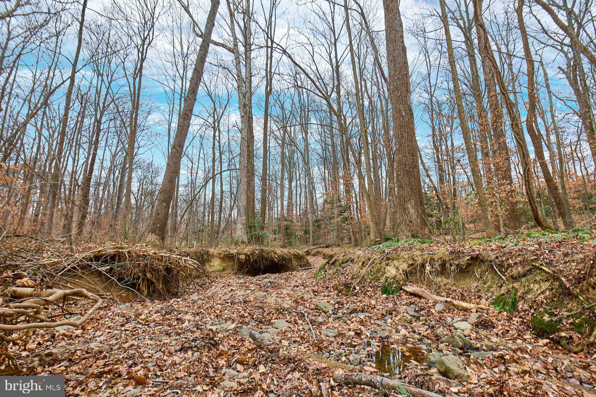 9007 O'Keith Court Springfield, VA 22152 - Photo 36 of 39