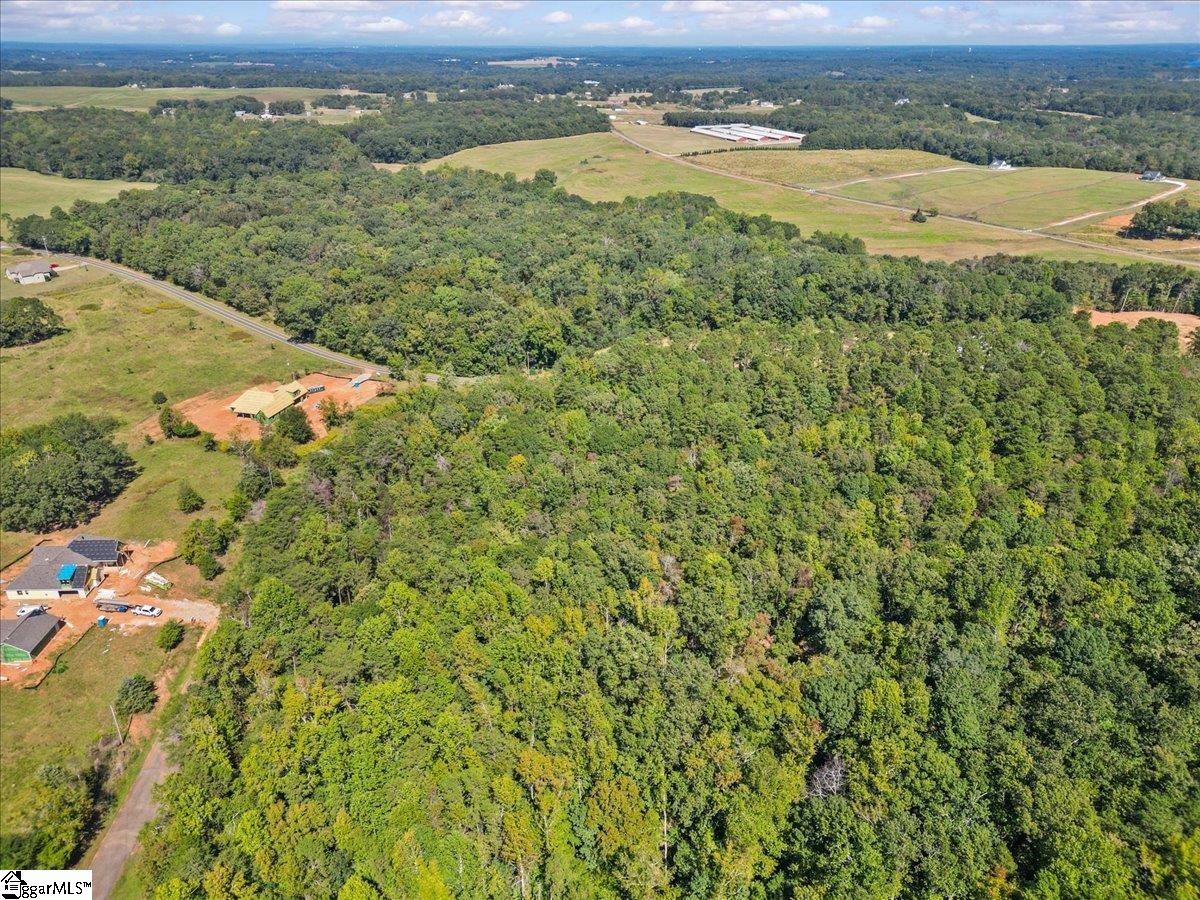 0 Andersonville Road Townville, SC 29689 - Photo 5 of 10