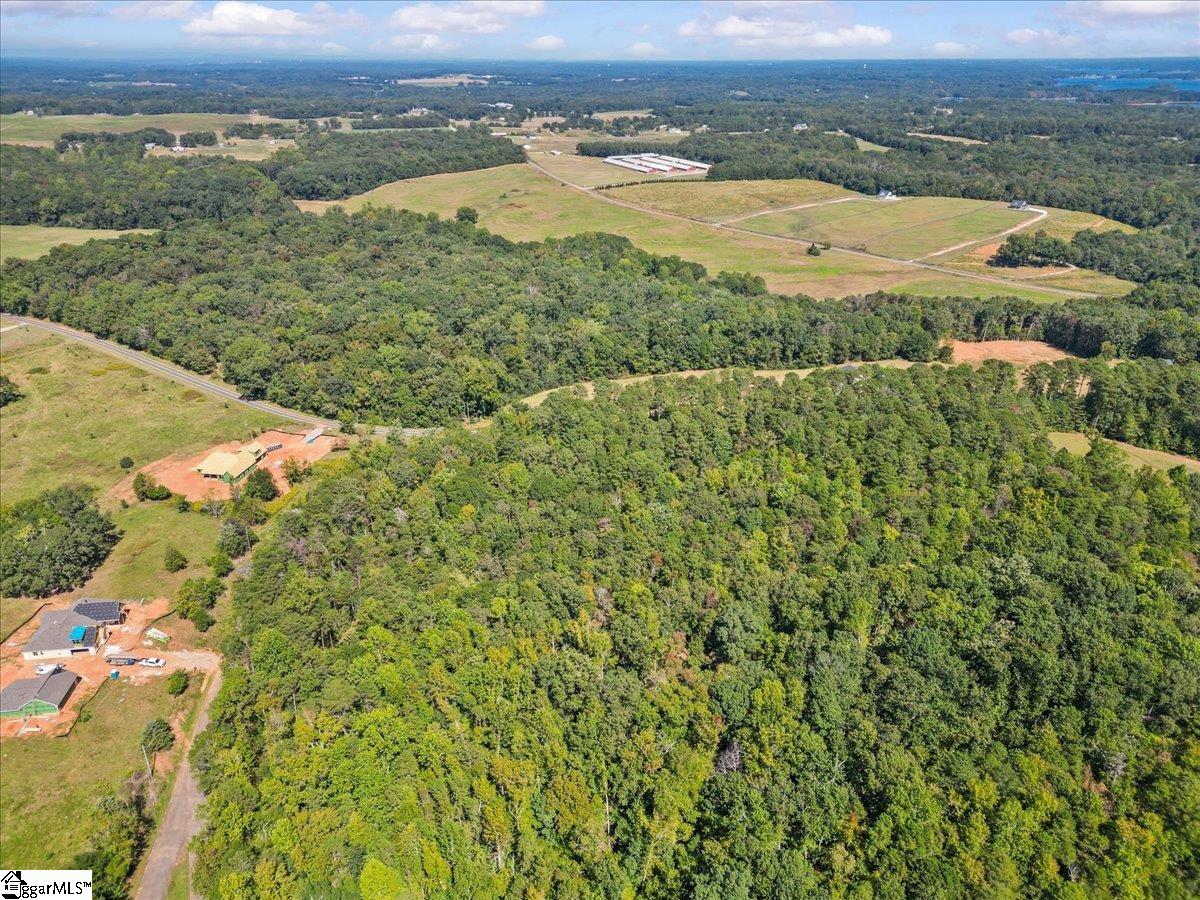 0 Andersonville Road Townville, SC 29689 - Photo 6 of 10