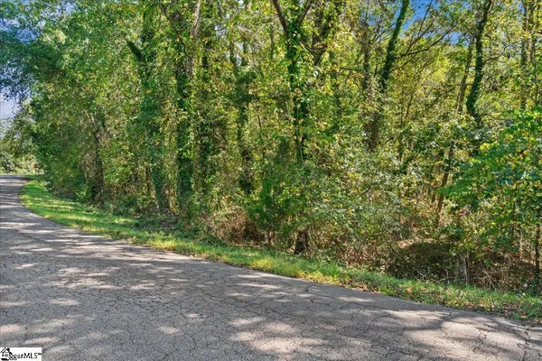 $95,000 | 0 Andersonville Road, Townville, SC 29689