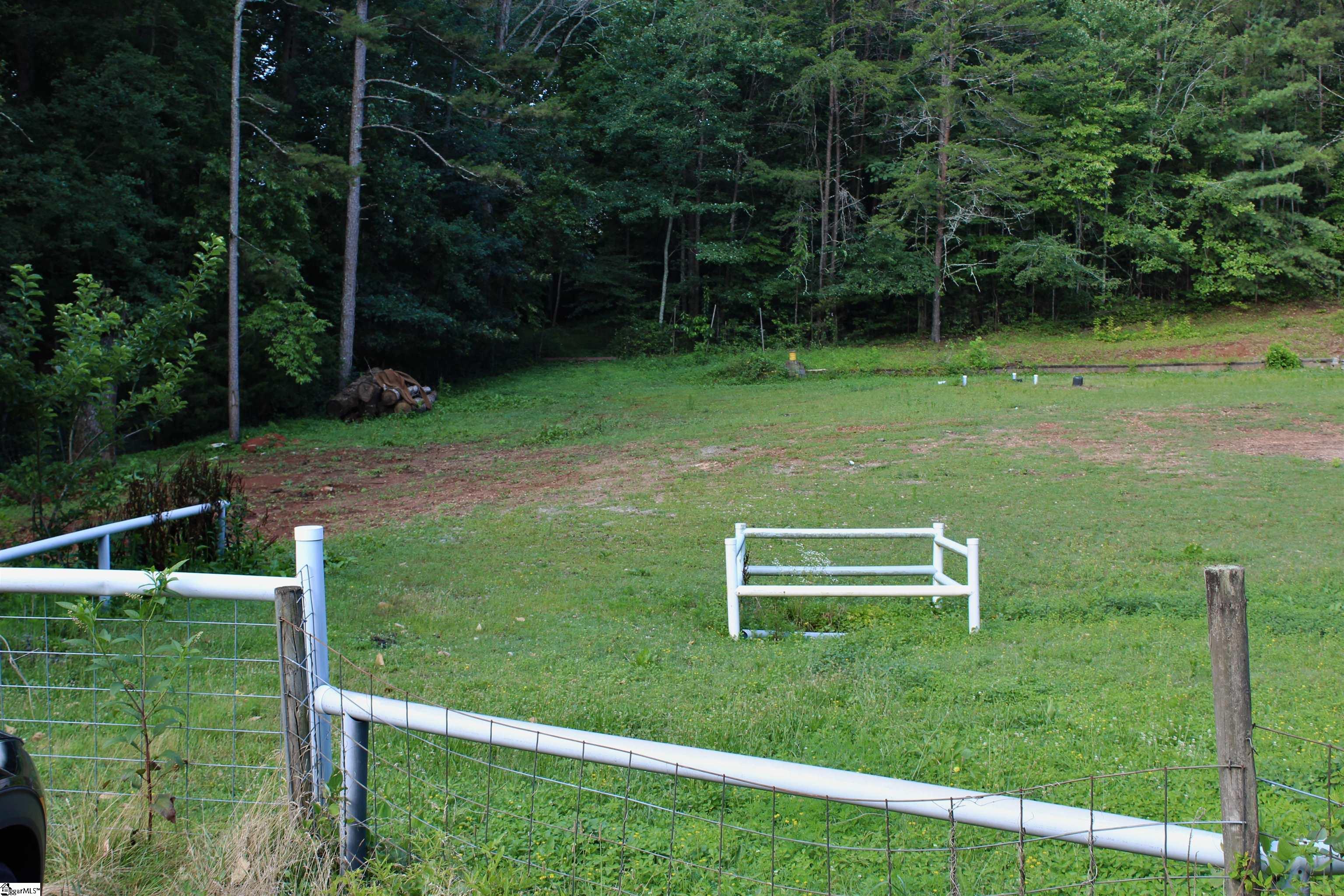 329 Booger Branch Road Six Mile, SC 29682 - Photo 5 of 20